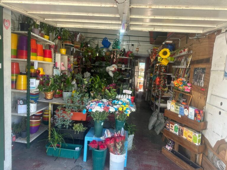 13392b08-827d-4b85-a5c0-600e9a8addb7