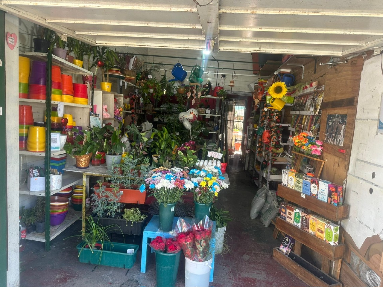 Vivero Dock Sud Amarillis