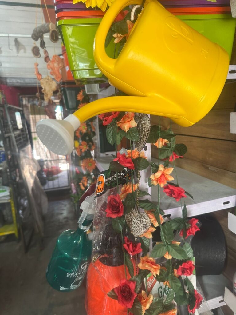 631229c1-e712-46ca-8c77-117a0112e587