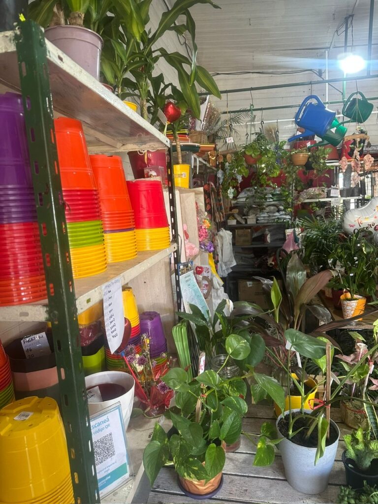 6de86b55-5a99-425a-ac98-1719ba92aaf8