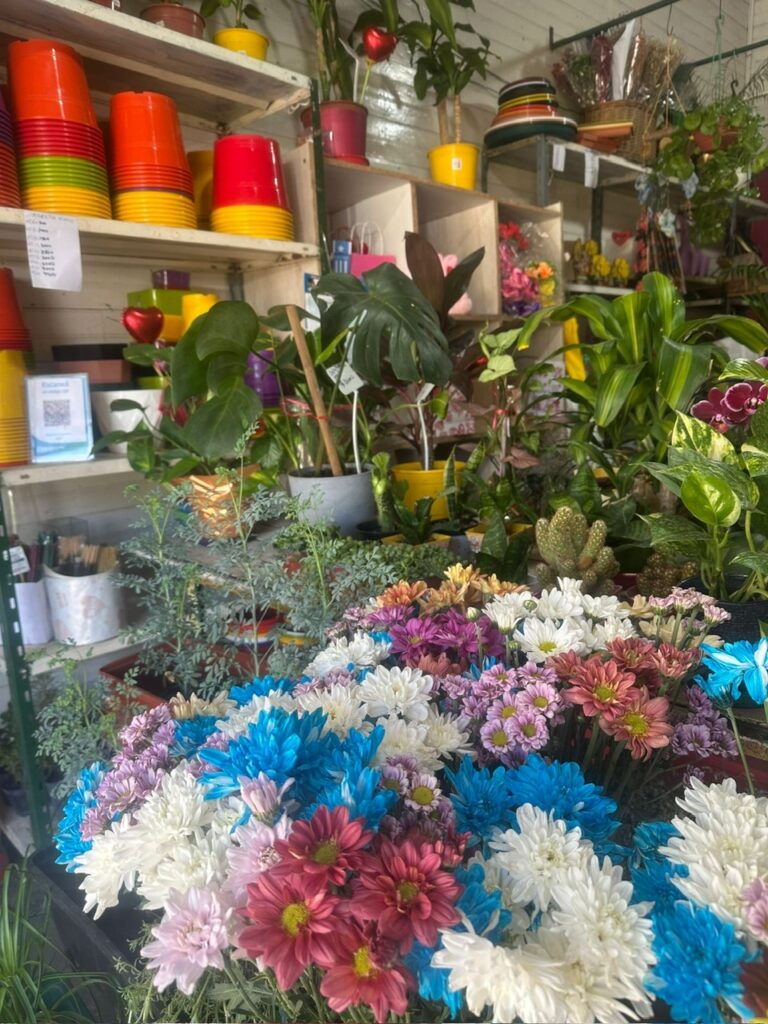 77f2346c-312e-47c8-9170-66a5aac17925